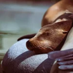 Comment le sommeil affecte nos performances sportives : un lien essentiel