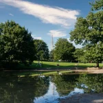La connexion entre la nature et notre santé mentale : études et témoignages