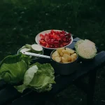 La gestion des émotions par l’alimentation : quel lien ?