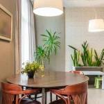 Le rôle des plantes d’intérieur dans la réduction du stress