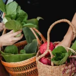 Le rôle des saisons dans notre alimentation : pourquoi manger local et de saison