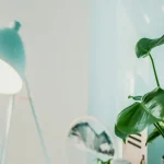 L’impact des couleurs de votre intérieur sur votre humeur et votre bien-être